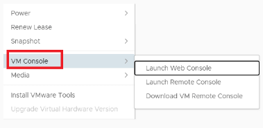 VCloud VM console